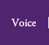 VOICE